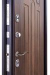 Входная дверь TT-G 301